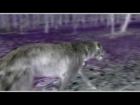 Unternaut - Unternaut - In rhythmo captus