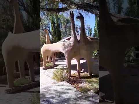 Cachi, Salta. #Salta #flowers #plantas #beautiful #plants #vida #flores #rio #paisajes #paisagem