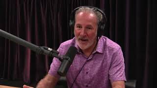 Joe Rogan and Peter Schiff on Looming Recession