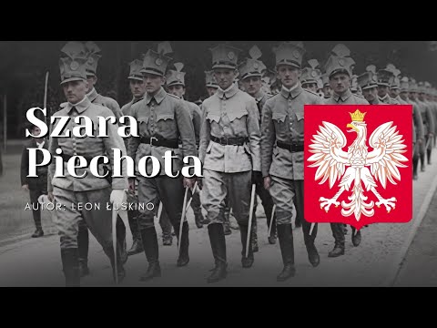 Szara piechota - polska pieśń patriotyczna (MOCNY METAL COVER) + TEKST