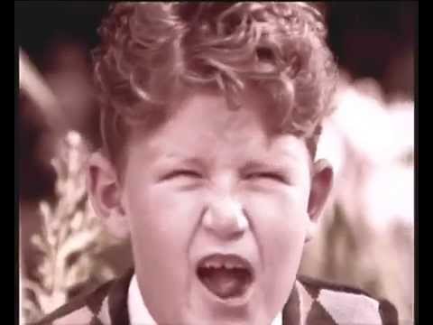 象は、忘れない。 / NESTLE「ELEPHANT」