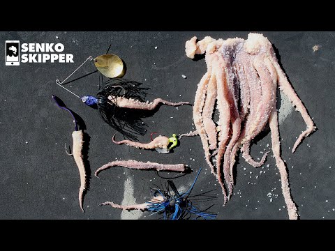 FRESHWATER FISHING: 6 Ways to use Super Salty Squid Bait!