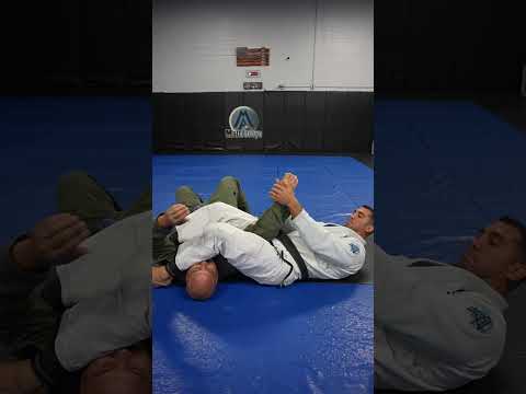 7 submissions from the mount! #jiujitsu #jiujitsutips