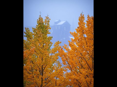 pedro gabriel - variations - full ep