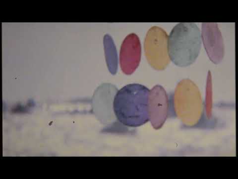 KRIN183 -  VS (VISUAL)