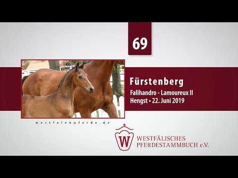 69 Fürstenberg  Hengst v. Falihandro - Lamoureux II