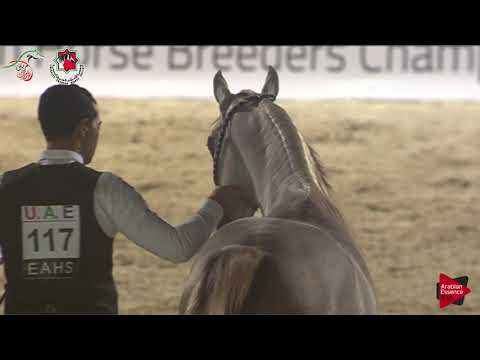 N 117 SHAMAIL AL FARES   Emirates AHBC