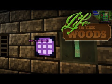 LIFE IN THE WOODS ⛺️ 161 • Endlich ein ME-System! #DebitorLoben 💋💖