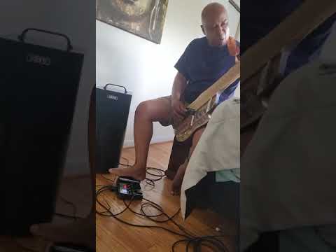 PAGE CUSTOM STICK DRONE 7 STRING CHAPMAN style DOUBLENECK GUITAR image 14