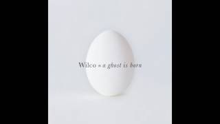 Wilco - A Ghost Is Born (Full Album)