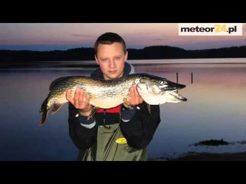 Camping, Pole Namiotowe Binduga i Domki Letniskowe - Brajniki meteor24.pl