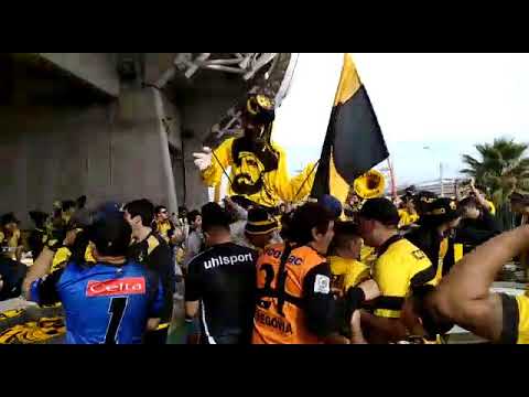 "Al hueso pirata" Barra: Al Hueso Pirata &bull; Club: Coquimbo Unido