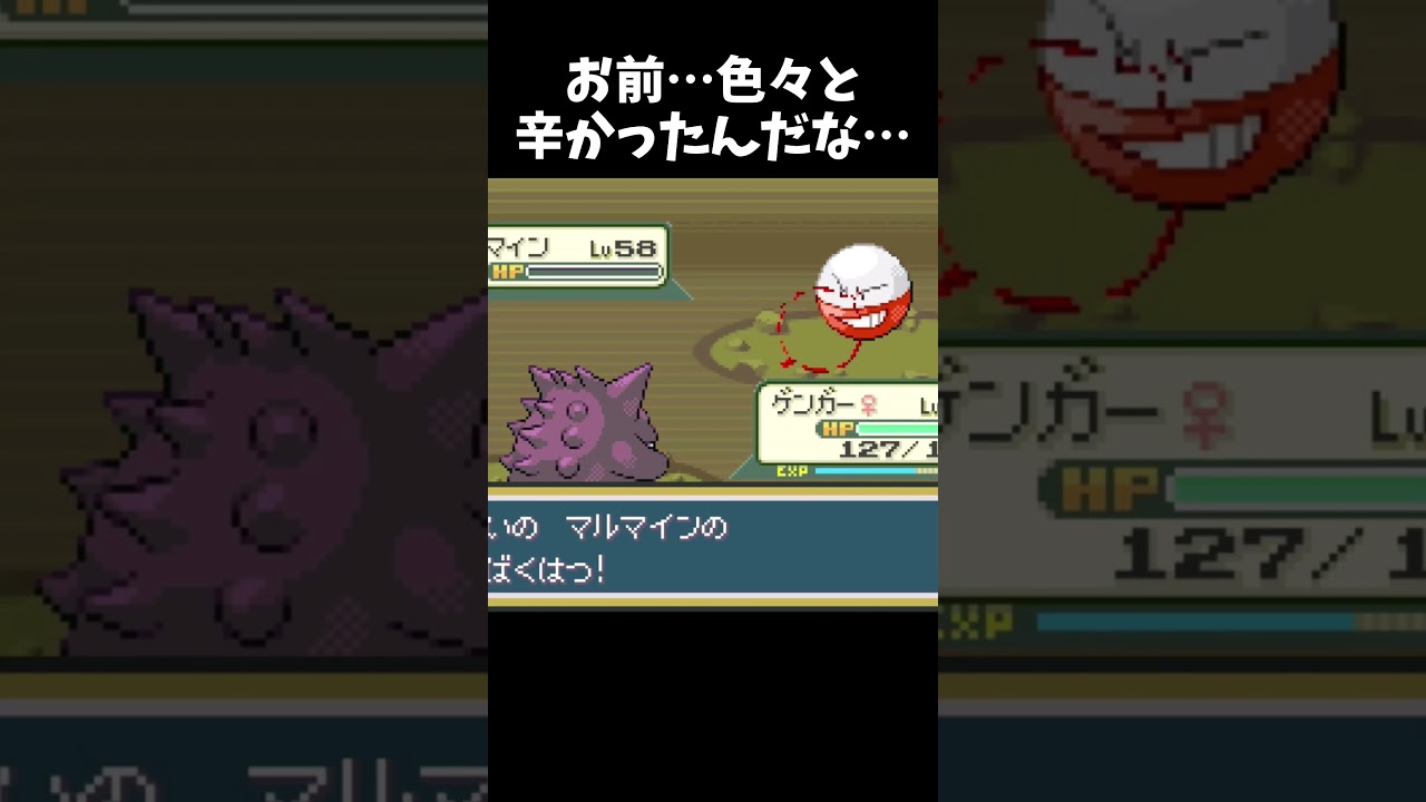 出てきて一瞬で散って行った悲しきポケモン