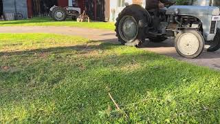 بيع جرار بعجلات Massey Ferguson TEA 20 - صورة 4 | Agroline جرار بعجلات Massey Ferguson TEA 20 | صورة 4 - Agroline