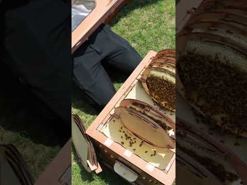 商学科 北海道留辺蘂高等学校ショートムービー