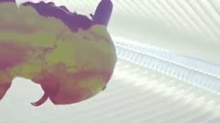 Isaiah Rashad - Titty and Dolla live