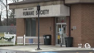 Concerns grow in Stark County over dogs mistakenly reunited with wrong owners
