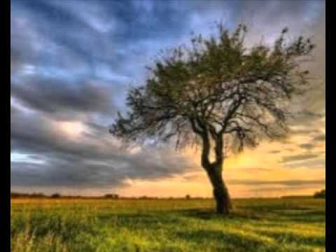 CROATIO PONOSNA U DUŠI - VINKO COCE I STANKO ŠARIĆ