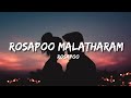 Rosapoo Malatharam | Lyrics | Rosapoo | Sushin Shyam |