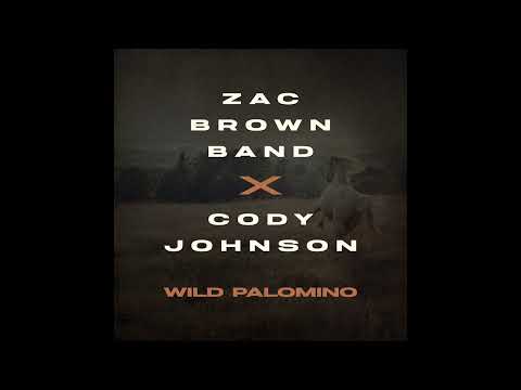 Video thumbnail for Wild Palomino