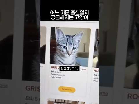 은하들과 초공간의 수호자..