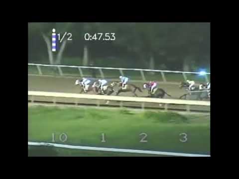 Clásico Internacional del Caribe 2000 - My Own Business (VEN)