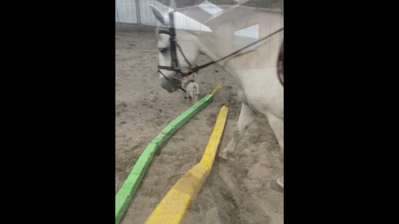 C - Lady Grace video 2