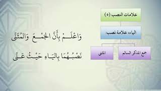 صورة شرح نظم الآجرومية مع التشجير //29//الشيخ محمد محمود الشنقيطي