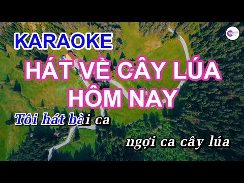 Hát Về Cây Lúa Hôm Nay || KARAOKE HD || Beat Chuẩn