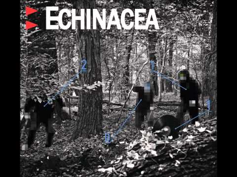 Echinacea - Historie nie z sąsiedztwa (ft. Dj Kebs)