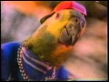 Polly O TV Commercial
