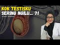 TESTIS NGILU ADA MASALAH APA YAA