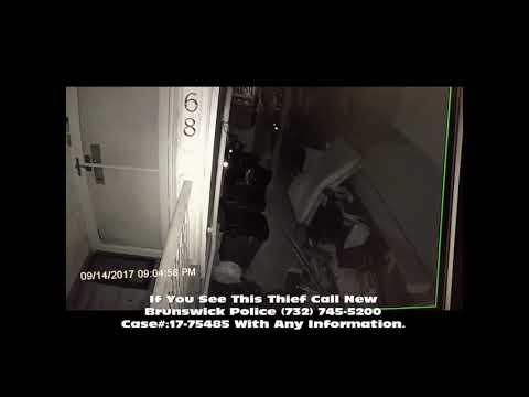 2017 September 14 9 04pm Backpack Leaf Blower with Tube Throttle $800