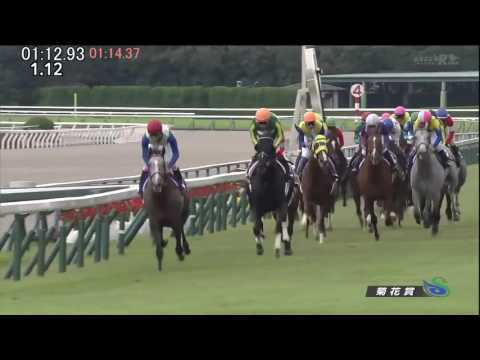 菊花賞2016　サトノダイヤモンド　（タイムコード・ヴァーチャルライン入り）