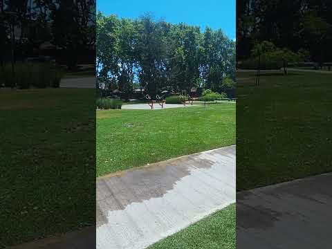 #GaleriaArteCameroni    Rutina de ejercicios en plaza San Martin.