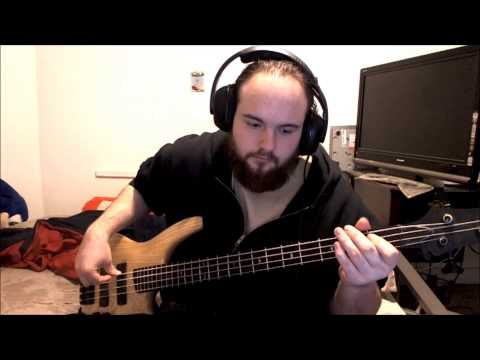 The Airborne Toxic Event - Timeless bass cover
