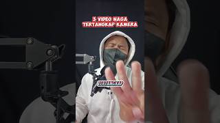 Download lagu Dragon Caught on Camera? #mythicalcreatures #creatures #legends #mythologicalcreatures mp3 Download lagu Dragon Caught on Camera? #mythicalcreatures #creatures #legends #mythologicalcreatures mp3