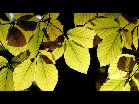 Fotografieren in Franken Teil 2