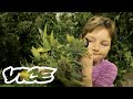 Medical Marijuana For Minors
