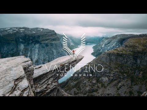 VTNO - Túl Sokáig /BPLR2/ (Official Audio)