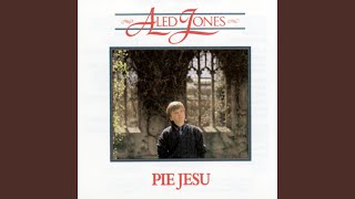 Jesu, Joy Of Man's Desiring (From Cantata 147)