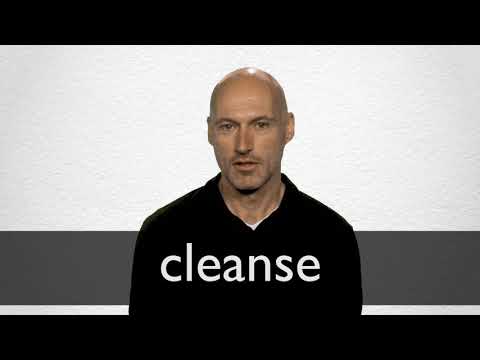 Get Hindi Translation Of Cleanse Collins English Hindi Dictionary Desktop Wallpaper Get Wallpaper Hindi Translation Of Cleanse Collins English Hindi Dictionary HD