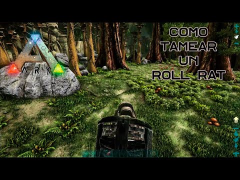 Como tamear un Roll Rat- Roto Rata de manera fácil y rápida En Ark: Survival Evolved