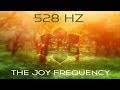 528 Hz The Joy Frequency Raise Positive Vibrations Clear Negative Energy Solfeggio Frequency