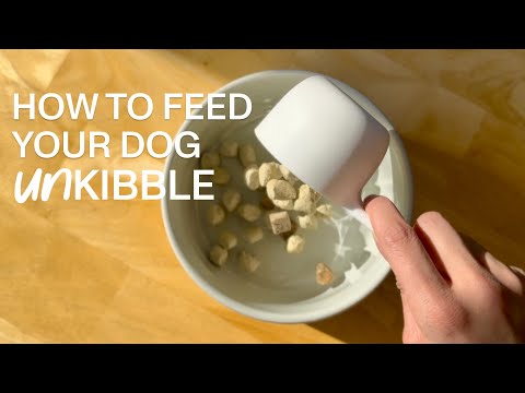 How To Feed Your Dog UnKibble