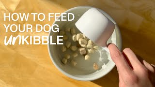 How To Feed Your Dog UnKibble | Spot & Tango