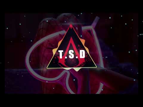 [T.S.D] Seeb - Say You Love Me ft. Skylar Grey