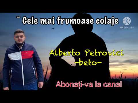 Alberto Petrovici ~ colaje