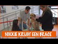 Floris leert een brace maken! | DierenpraatTV
