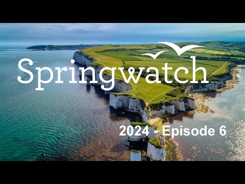 Springwatch 2024   Episode 6